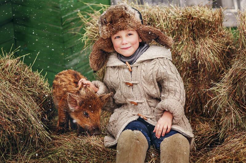 Дети, Животные, Зима, Кабанчик, Мальчик, Портрет, Ребенок, Село, Снег юный натуралист :)photo preview