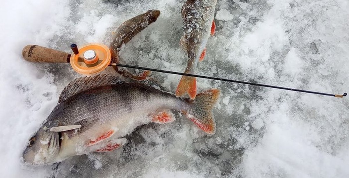 рыбалка по льду на машине