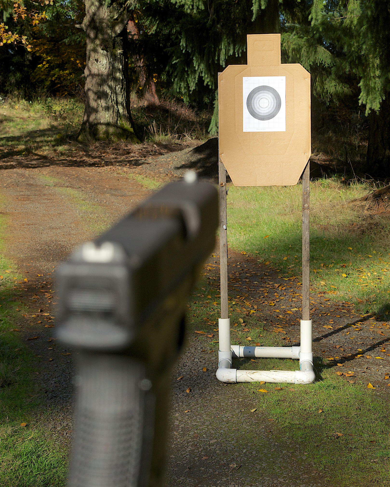Image of blurred gun sight and clear target