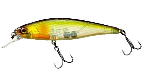 Jackall squad minnow 80sp