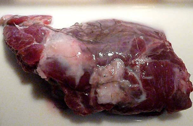 Кусок мяса барсука