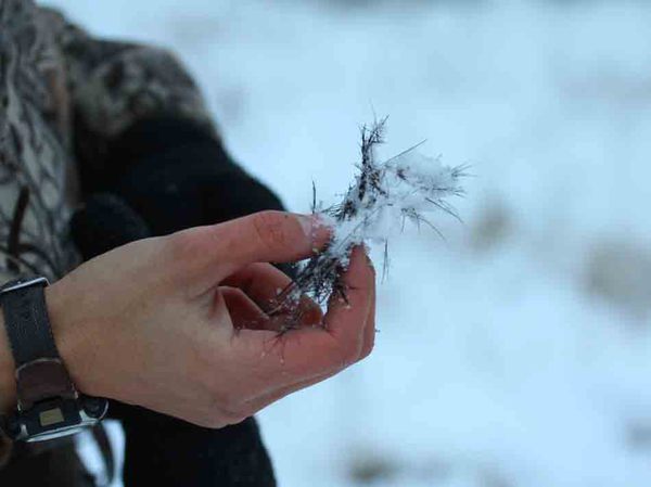 Каждому вставшему на номер, старший охоты или егерь указывает его сектор обстрела.Каждому вставшему на номер, старший охоты или егерь указывает его сектор обстрела.