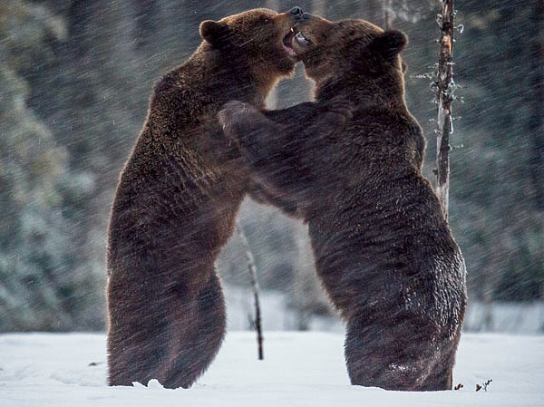 фото: Сёмина Михаила
