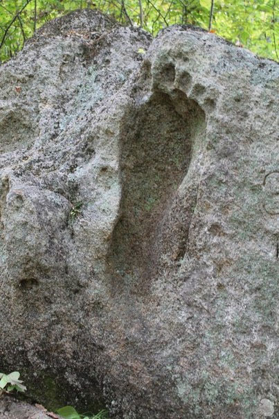 footprint-23