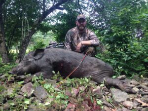 Guided Boar Hunts
